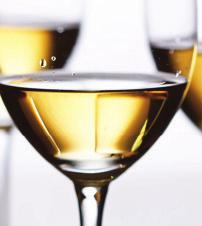 senzorični izrazi Kako zaznavamo vino Slušne zaznave Tipne zaznave Vidne zaznave Zaznave vonja vina