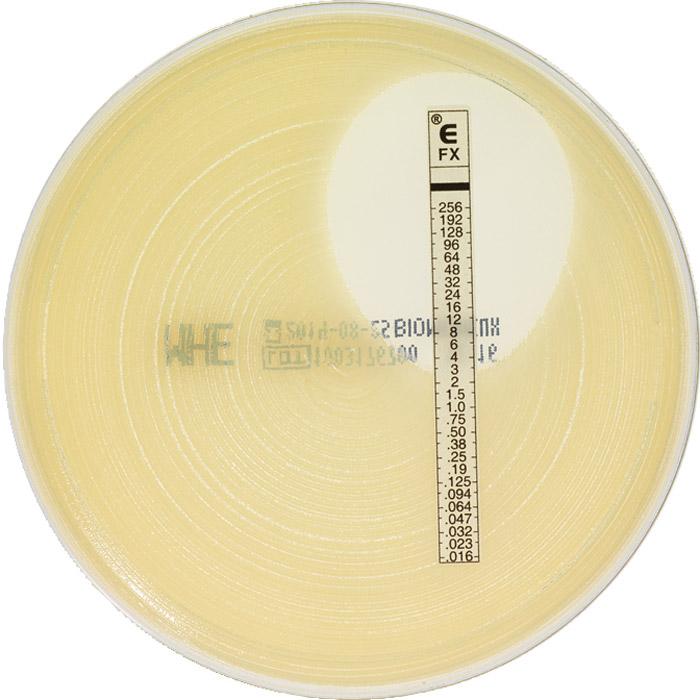Εικόνα 10. Εικόνα Etest Staphylococcus aureus μετά από επώαση αυτού σε Mueller- Hinton άγαρ για 18-24 ώρες. MIC 3 mcg/ml για την κεφοξιτίνη (76).