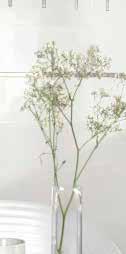 6, 99 KERAMIKA CLAUDIA BEIGE mere 25 x 40 cm, mm 15, 90 KERAMIKA DREIRE BONE mere 28