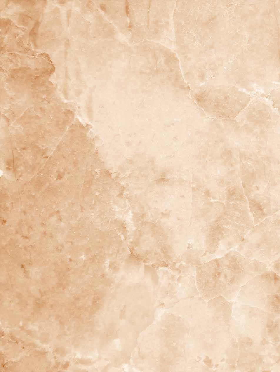 Keramika SPACCO NATURAL/BROWN