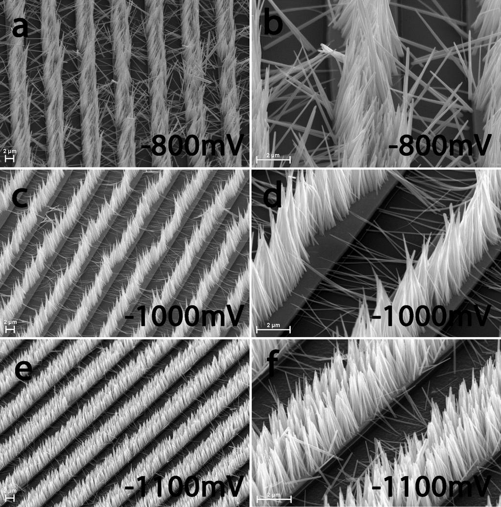 Fig. 2 Imagini SEM pentru nanofire de ZnO depuse electrochimic pe electrozi interdigitati de Au, la diferite potentiale aplicate pe electrozii din baia de depunere.