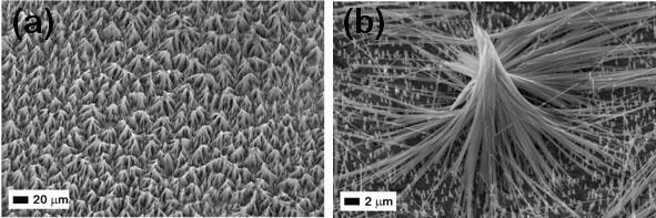 Titanat-zirconatul de plumb (PZT) este un material feroelectric cu o constanta dielectrica mare ce ar putea fi folosit ca si dielectric de poarta si mediu de stocare in acelasi timp.