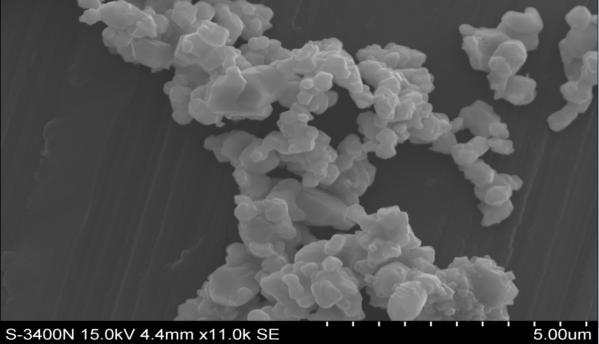 Pulberile precursoare de PMN şi PT (Fig. 2 a şi b) sunt alcătuite din particule neuniforme sferice cu dimensiuni diferite de ~ 400 nm (PMN) şi ~ 200 nm (PT).