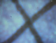 svetlobno odprtino stojala mikroskopa tako, da je "X" centriran nad