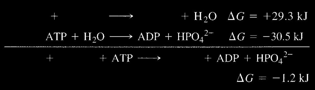Dali tie se pokoruvaat na zakonite na termodinamikata? Reakcija pri koja opa a slobodnata energija se narekuva egzergona (ΔG < 0), a onaa pri koja slobodnata energija raste, endergona (ΔG > 0).