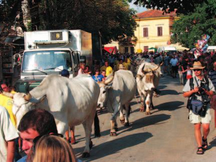 PU» KA FE TA JA KOVL JA I 16. SMOT RA ISTARS KOG GO VE DA Naj lje pπe eu rop sko go ve do! baπtina Boπ ka ri ni opet na ci je ni!