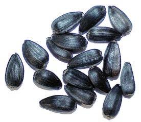 To su omega-6 masne kiseline, koje nalazimo u uljima (πafranovo, suncokretovo, sezamovo i kukuruzno), te omega 3-masne kiseline, koje nalazimo u lanenim i buëinim sjemenkama, orasima, ribama koje
