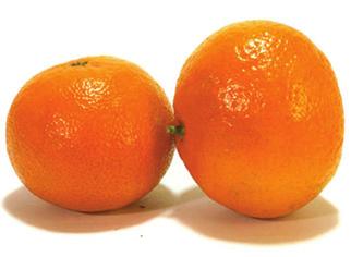 SMJERNICE ZA VOĆNE SOKOVE, VOĆNE NEKTARE I SLIČNE PROIZVODE 110 PRILOG 15 Referentne smjernice za sok od mandarine Referentna smjernica je smjernica prihvatljivosti soka, odnosno kaše od mandarine.