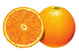 SMJERNICE ZA VOĆNE SOKOVE, VOĆNE NEKTARE I SLIČNE PROIZVODE 56 PRILOG 8 Referentne smjernice za sok od narandže Referentna smjernica je smjernica prihvatljivosti soka, odnosno kaše od narandže.