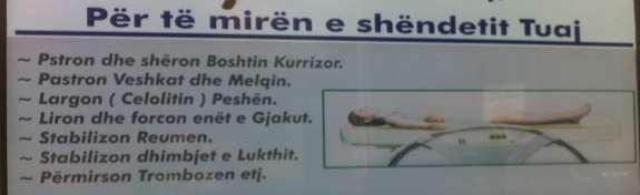 Në këtë rast emrat duqanin dhe burek janë të shkruar jo sipas drejtshkrimit të gjuhës shqipe, që në vend të zanores u duhej të shkruhet zanorja y në të dyja rastet e emrave.