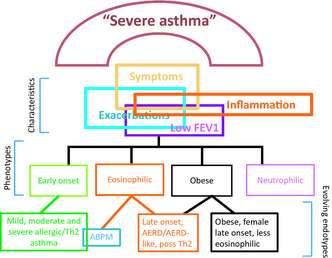 Φαινότυποι SRA Clinical & Experimental Allergy Wenzel S pages n/a-n/a, 18 JAN 2012 DOI: 10.1111/j.