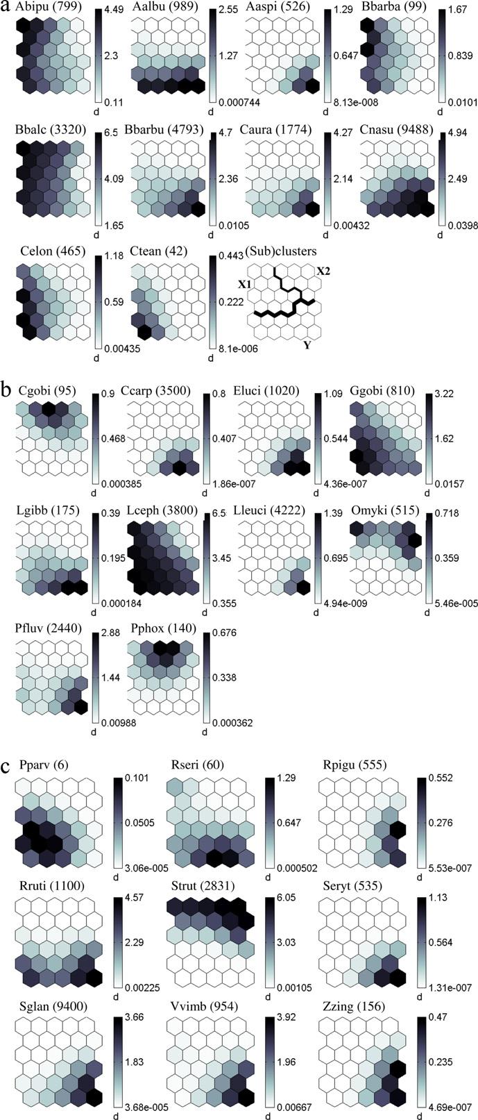 M. Stojkovic et al. / Ecological Modelling 248 (2013) 20 29 27 Fig. 3. (a c) Distribution patterns of 29 fish species on the SOM map.