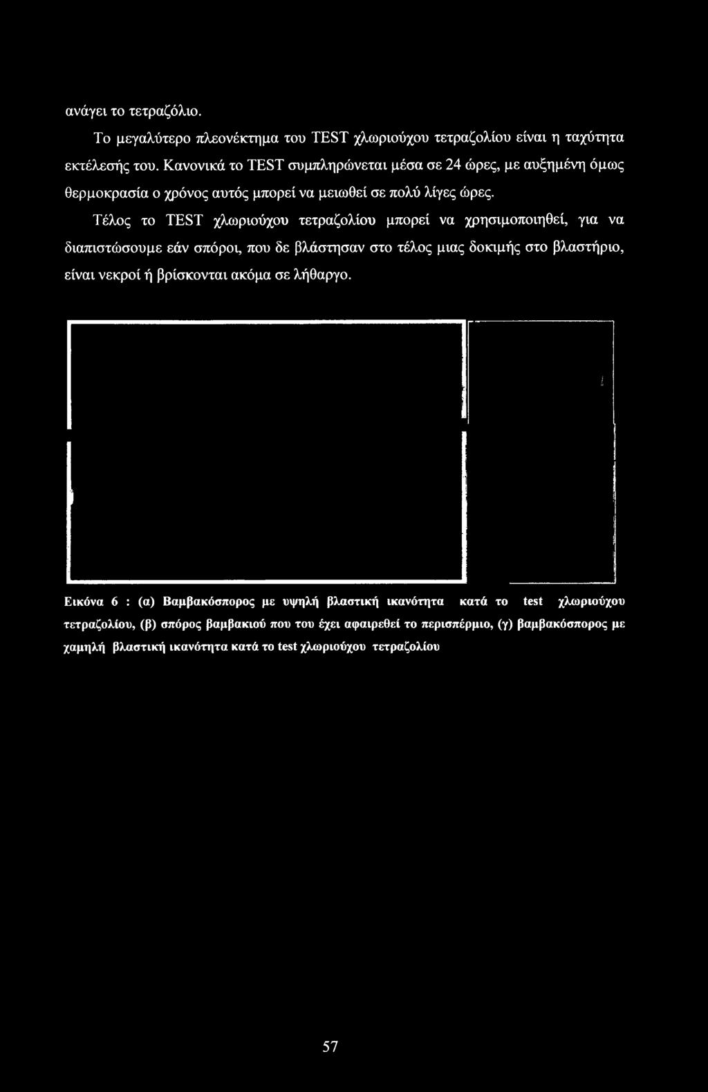 στο τέλος μιας δοκιμής στο βλαστήριο, είναι νεκροί ή βρίσκονται ακόμα σε λήθαργο.