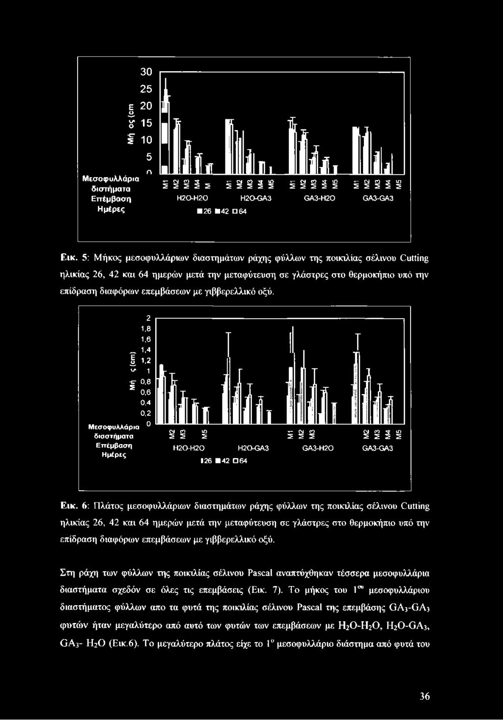 5: Μήκος μεσοφυλλάριων διαστημάτων ράχης φύλλων της ποικιλίας σέλινου Cutting ηλικίας 26, 42 και 64 ημερών μετά την μεταφύτευση σε γλάστρες στο θερμοκήπιο υπό την επίδραση διαφόρων επεμβάσεων με