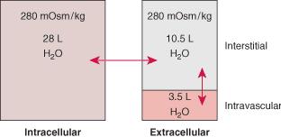 DISTRIBUTIA APEI IN COMPARTIMENTELE ORGANISMULUI Continutul total de apa din organism = nr kg 0.60 (la bărbați) = nr kg x 0.