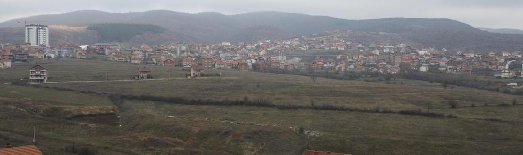 Në luginat e përrojeve të dikurshme ka mjaft vegjetacion të ulët, kryesisht i mbirë në mënyra natyrale, gjithashtu gjelbërim të ulët ka edhe në hapësirat e pa ndërtuara të planit.