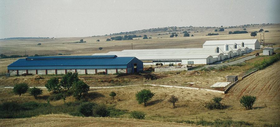 Σφεδιαςμόρ κσιπιακών εγκασαςσάςεψν Όφι κονσά ςε