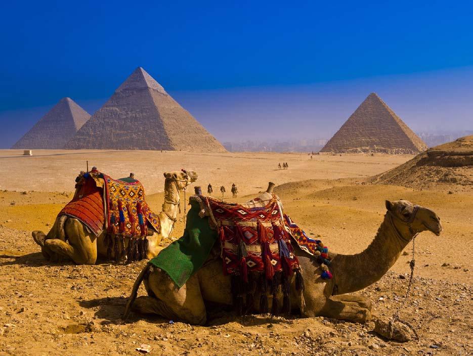 ΑΙΓΥΠΤΟΣ Κάιρο Αλεξάνδρεια 4 ήμερη Κρουαζιέρα Νείλου 24-31 Οκτωβρίου 2018 (8 Ημέρες) Η Αίγυπτος σας καλωσορίζει, με τις καταπράσινες όχθες του πανέμορφου Νείλου και τα υπέροχα μνημεία, την
