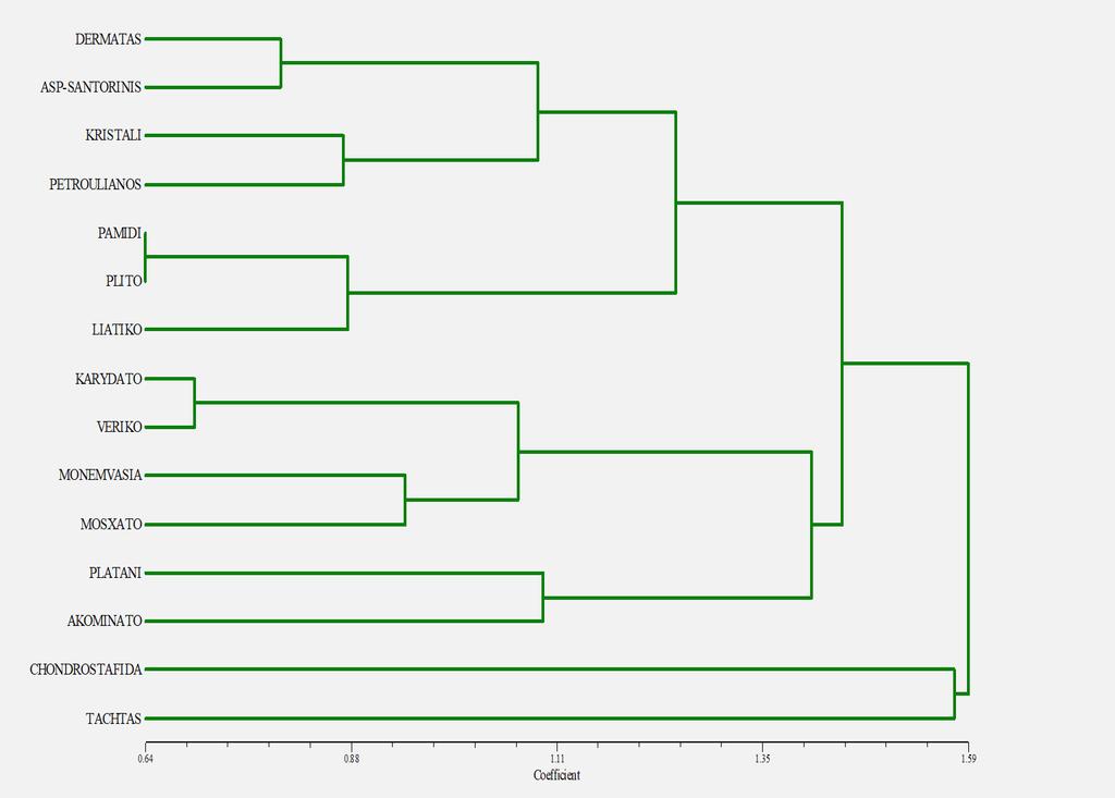 Εικ.18 Δενδρόγραμμα που βασίζεται στην αμπελομετρία του ώριμου φύλλου Από το παραπάνω δενδρόγραμμα που βασίζεται στην αμπελομετρία του φύλλου συμπεραίνουμε ότι πολύ κοντά, με τον μικρότερο συντελεστή