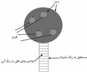 خصوصيت مقدارخصوصيتFillColor DrawWidth or رنگ قلم را براي ترسيماتي كه بهوسيله خصوصيت FillStyle ايجاد ميشود معين ميكند.
