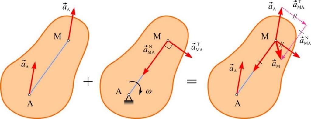 T MA AM - tngencijln komponent ubrznj točke M zbog rotcije oko A, okomit je n spojnicu AM i usmjeren u smjeru kutnog ubrznj presjek.