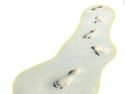 Kada miruje, s obje gume na tlu, dodirna površina svake gume s tlom je 8 cm 2, a kada se podigne stojeći samo na stražnjoj gumi, dodirna površina je 12 cm 2.