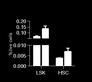 (A)-(C) Two million BM cells from Vav1Cre or Jmjd1c f/f : Vav1Cre were transplanted into lethally irradiated CD45.1 recipients.