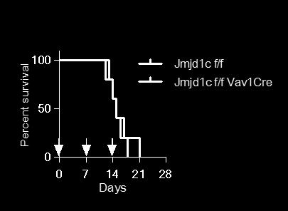 (G)-(I) Chimerism of PB Mac-1 Gr-1(G), B0 (H) and CD (I) in primary competitive transplant as in Figure 7(A)-(C).
