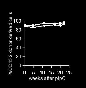 Figure S6 A Mx1Cre Jmjd1c f/f Mx1Cre B Mx1Cre Jmjd1c f/f Mx1Cre C Mx1Cre Jmjd1c f/f Mx1Cre 1 Non-competitive transplant D Mx1Cre Jmjd1c