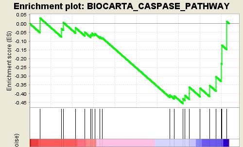 5 B α-jmjd1c Streptavidin pull down - + 5% Input - +