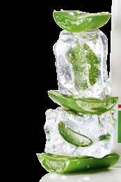 35 % Aloe Vera Box Ειδικής Περιποίησης Σετ 3