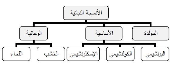 المالحق ملحق رقم )9( األهداف خطوات تنفيذ الدرس التقويم 3.