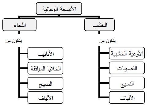 المالحق ملحق رقم )9( األهداف خطوات تنفيذ الدرس ثالثا : مبدأ االستفادة من الخاصية المكانية ألج ازء النظام وذلك في نظام القصيبات حيث يتم نقل الماء واألمالح من خالل أج ازء النظام والتي عبارة عن عدة نقر