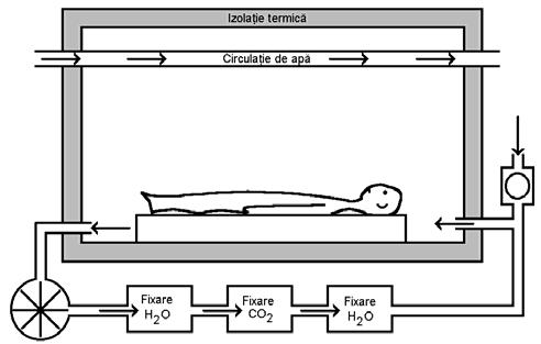 Bofzcă Elemente de termodnamcă bologcă energetc, ar depoztarea negatvă de energe sngura sursă. În aceste condţ se determnă ntenstatea metabolsmulu bazal (Fg.5.2). Fg. 5.