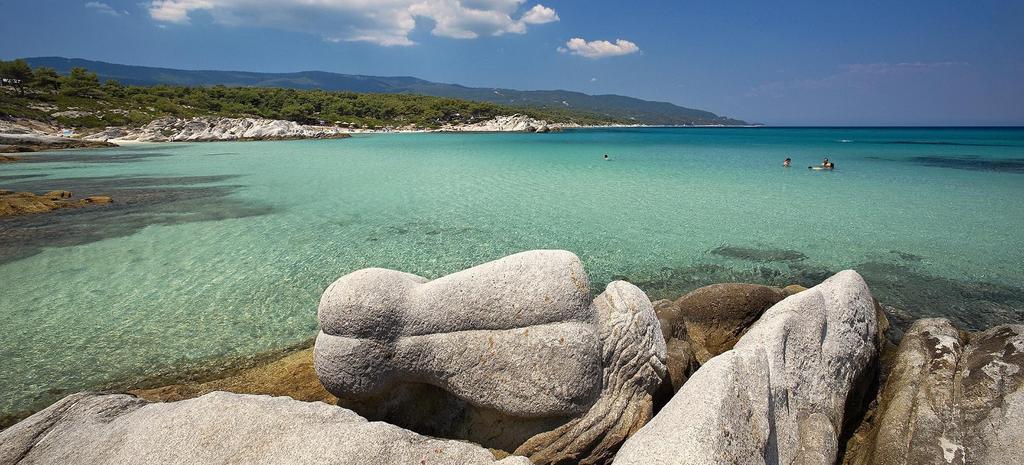 Επιχειρήσεων Χαλκιδικής σε Πανελλαδική Τουριστική Πύλη (www.filoxeno.com) που υποστηρίζεται από τα Ελληνικά Επιμελητήρια, αλλά και στην Τοπική Τουριστική Πύλη που ετοιμάζεται.