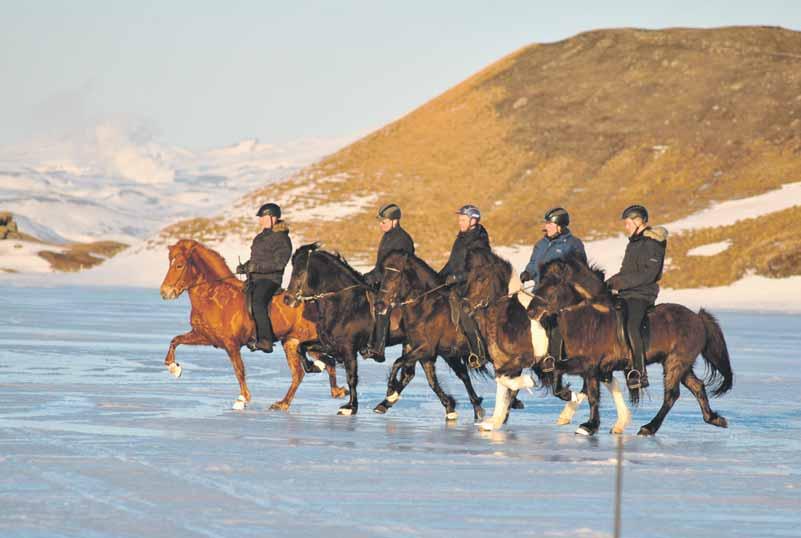 Talsverðar umræður spunnust um málið enda þótt þingfulltrúar lýstu sig sammála ályktuninni.