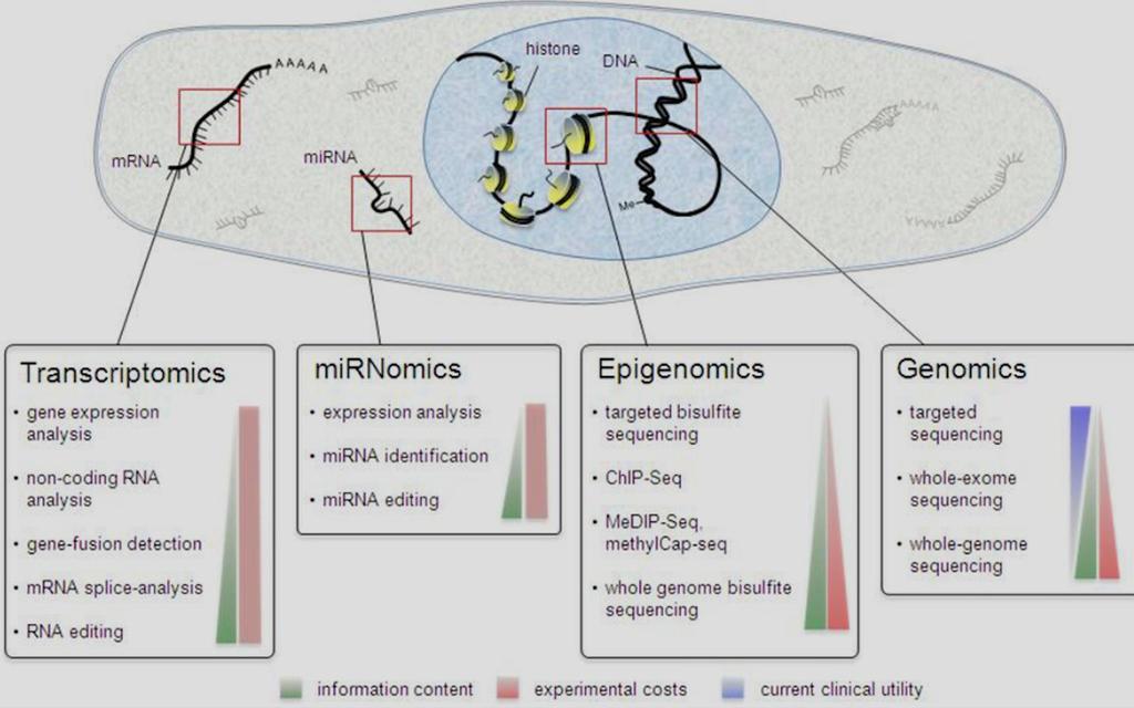 NGS - Applications DNA Whole Genome Whole exome Targeted Re-Sequencing Epigenetics Metagenomics