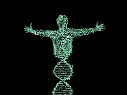 The Human Genome Project Άρχισε το 1990 Ολοκληρώθηκε το 2003 Κόστος 2.700.000.