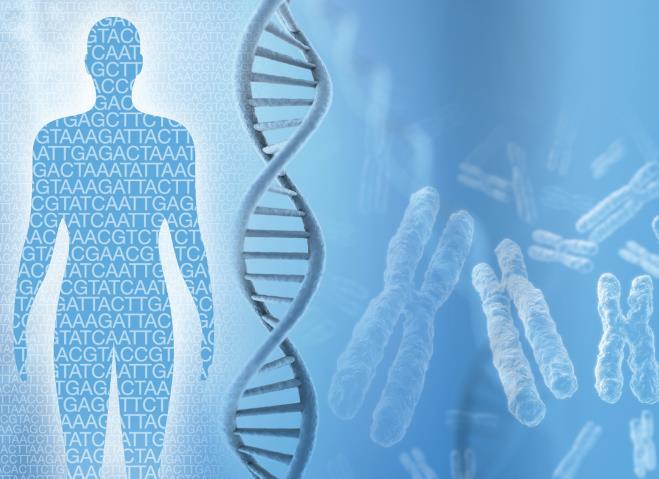 Next Generation Sequencing Βασική αρχή: Sanger Sequencing Αναγνώριση βάσεων μικρών