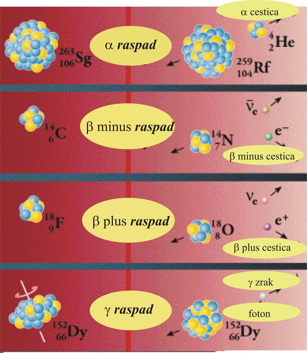 VRSTE RADIOAKTIVNIH RASPADA α raspad β - raspad: β-