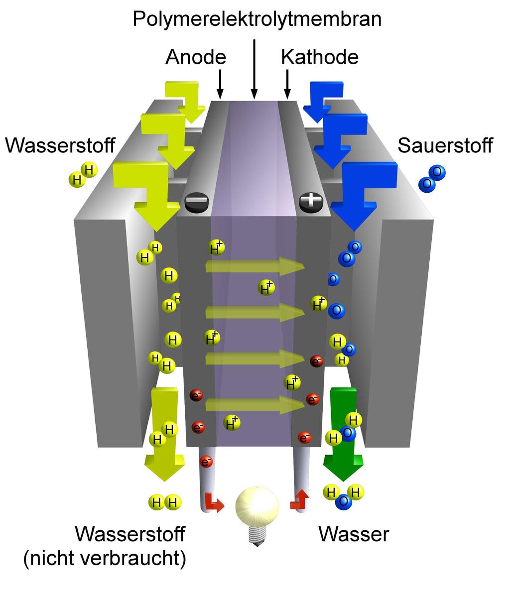 5 - Elektrokatalyse mit NP-CNT-Kompositträgern - DAEFADADBDACFDEBFD - DA EF DEDDF BAB BD AC FDEBFD -