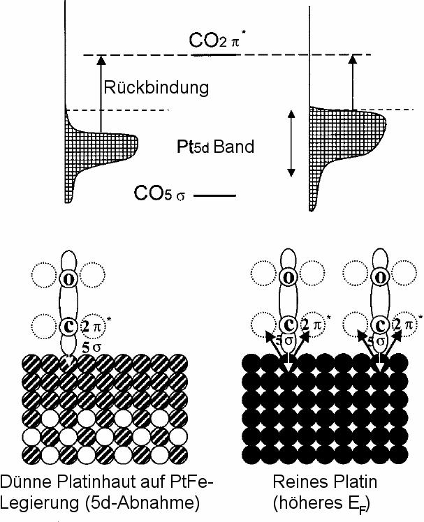 5 - Elektrokatalyse mit NP-CNT-Kompositträgern AAFBFAFDBBFAF BFBFBFFDDABEFDAFB DFAFBDABFBFFDDABDDBDBFB FFFEBFFDFDAFFπFBD FB F F πfb D ADAEAAFD D F