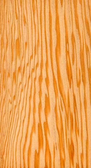 Ξυλόφυλλα (καπλαμάδες), που είναι λεπτά φύλλα ξύλου