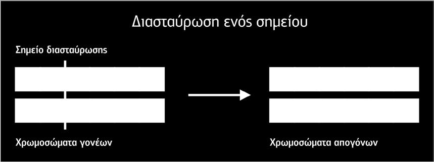 κωδικοποιούνται δυαδικά (βλέπε 2). Το σημείο διασταύρωσης επιλέγεται τυχαία κάπου στη σειρά των γονιδίων.