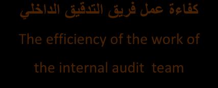 work of the internal audit team األبعاد غير المالية