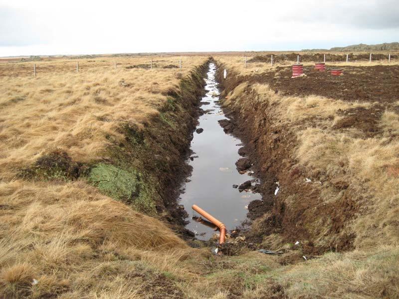 úrgang til að unnt væri að mæla rennslið. Mynd 6. Frárennslisskurðurinn í Fíflholtum að morgni 8. maí 2008.