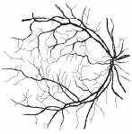 Hill, Apparatus and method for identifying individuals through their retinal vasculature patterns, U.S.Patent 4,109,37, August, 1978. [] K. G. Goh, W.