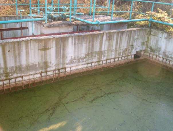 Отпадна вода Земљорадничке задруге Луново село узоркована је такође из сабирног базена отпадних вода пре улива у реку Лужницу (Слика 9.2). Слика 9.