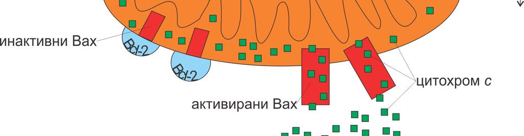 које су одговорне за активност ових протеина.