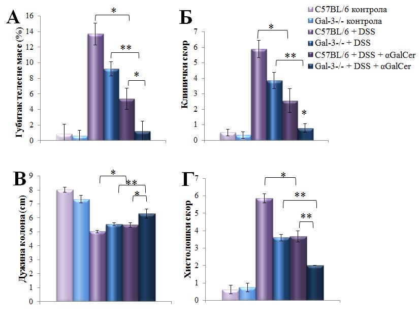 РЕЗУЛТАТИ Фигура 13. Протективна улога NKT ћелија у оштећењу ткива колона изазваном DSS-ом не зависи од присуства молекула Gal-3. А, Б, В.